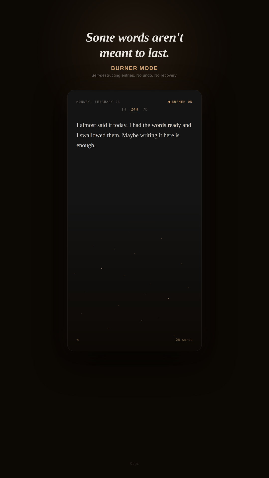 Burner Mode — self-destructing entries